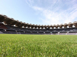 Zayed Sports City Stadium